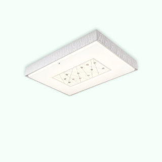 MKX01008-2